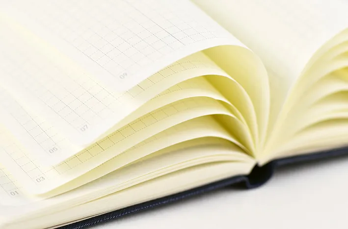 2025 Hobonichi Techo - Sneaker Leaf Green Weeks  MEGA Softcover Book / Weekly Horizontal / Jan start / Mon start
