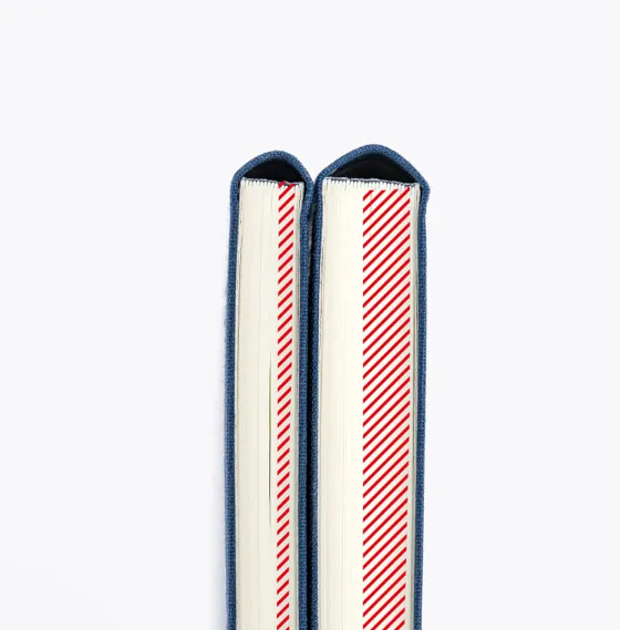 2025 Hobonichi Techo - Sneaker Leaf Green Weeks  MEGA Softcover Book / Weekly Horizontal / Jan start / Mon start