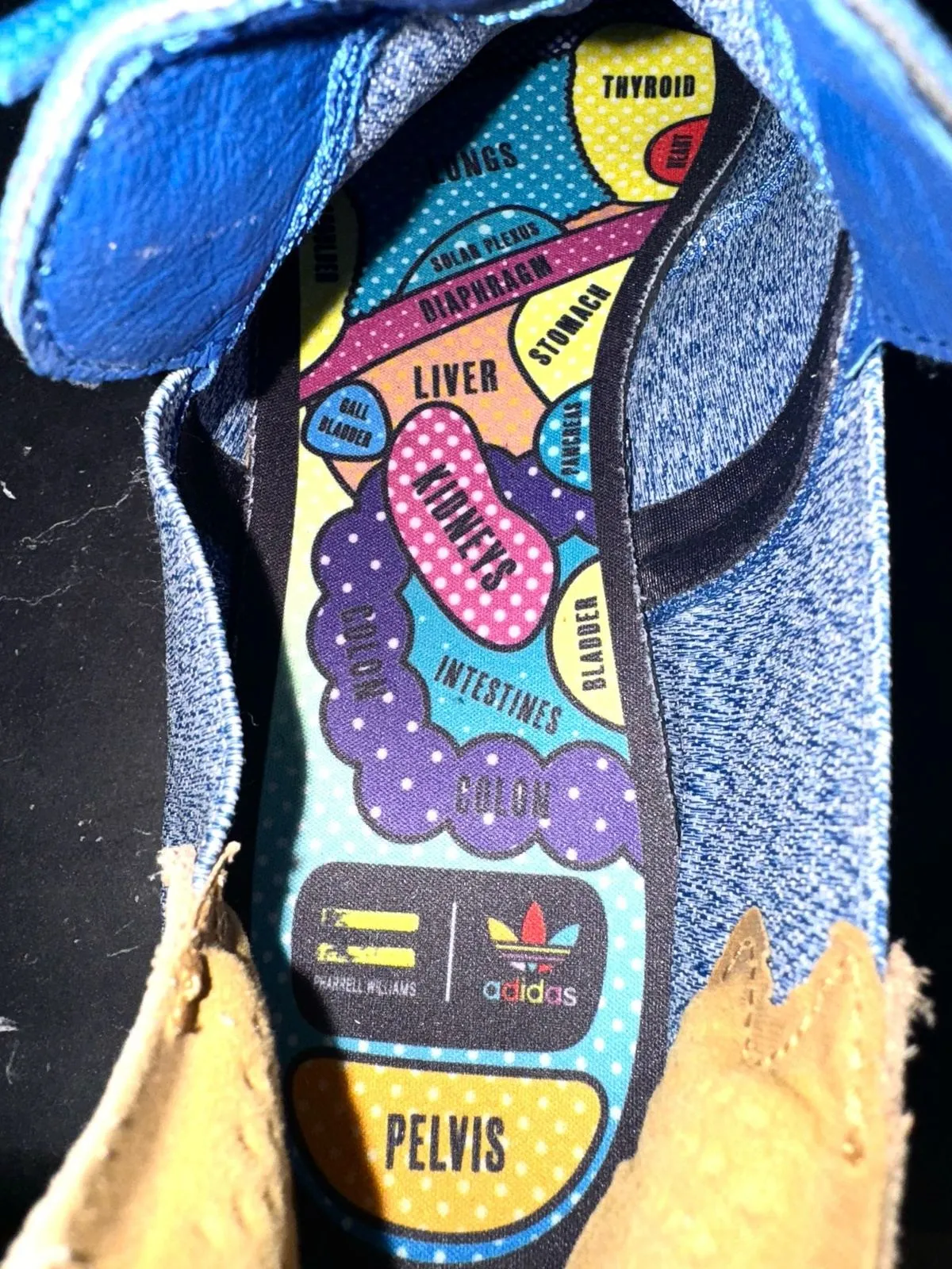Adidas Pharrell Williams Low Trainers