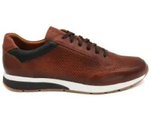 ID24550-Lacuzzo Brown Perforated Trainer